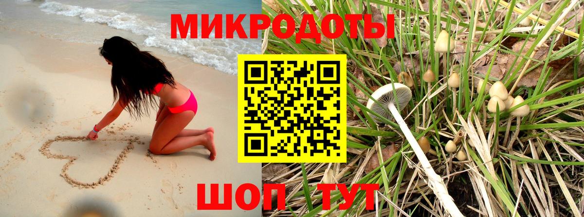 Псилоцибиновые грибы Psilocybe Павловский Посад