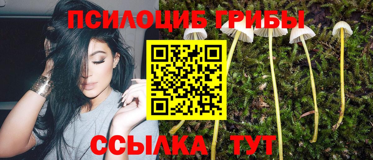 Галлюциногенные грибы MAGIC MUSHROOMS  Вход с VPN  Павловский Посад 